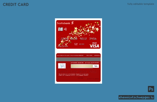 Bahamas Scotia Bank Visa Debitkarte – Beispielvorschau